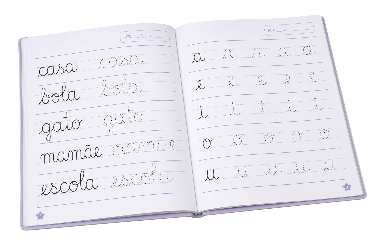 Páginas internas do caderno